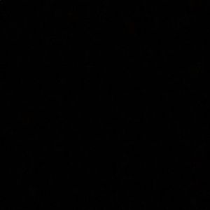 Meet your Posher, Randy